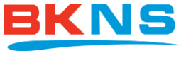 BKNS.vn - обзор, рейтинг, отзывы BKNS.vn