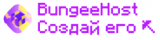 Bungee.host - обзор, рейтинг, отзывы Bungee.host