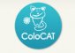 Colocat.ru