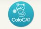 Colocat.ru - обзор, рейтинг, отзывы Colocat.ru