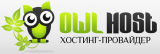 Owlhost.net - обзор, рейтинг, отзывы Owlhost.net